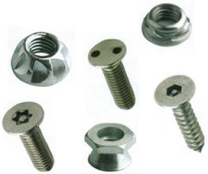 Security Fasteners